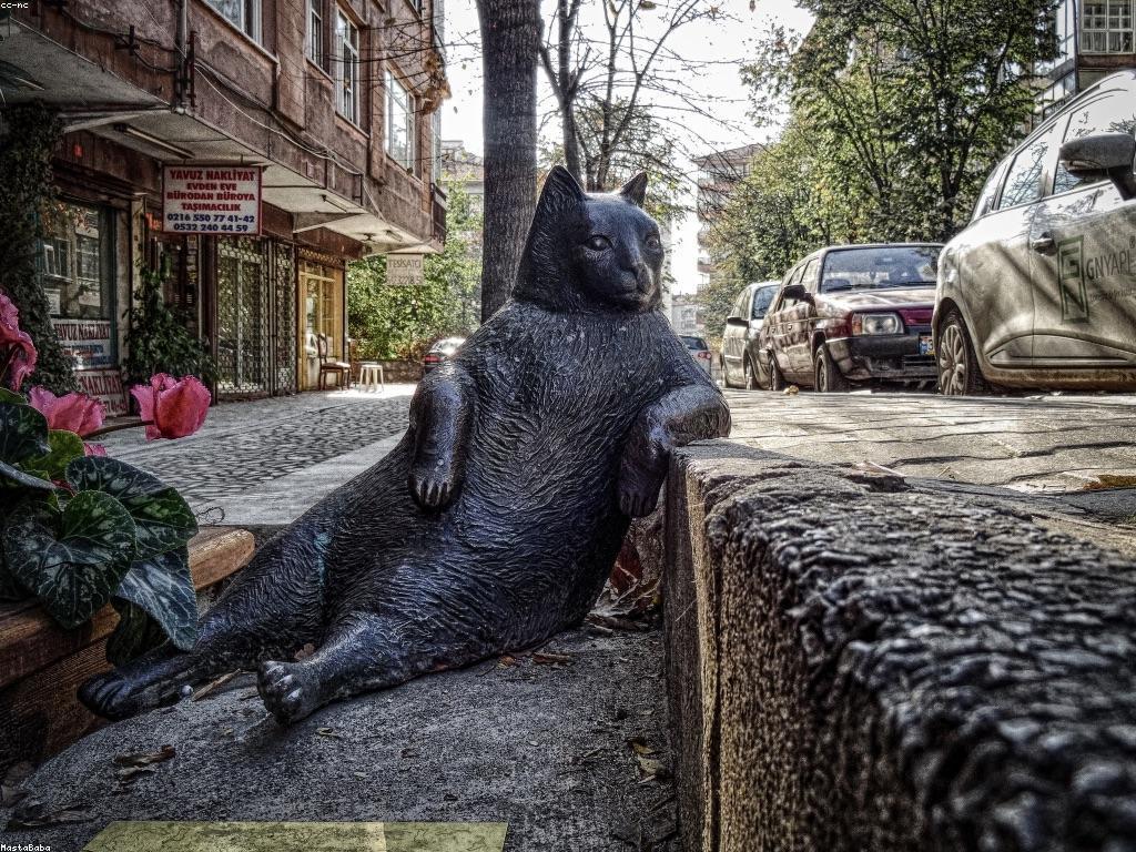 រកឃើញចំណូលចិត្តថ្មីៗរបស់អ្នក