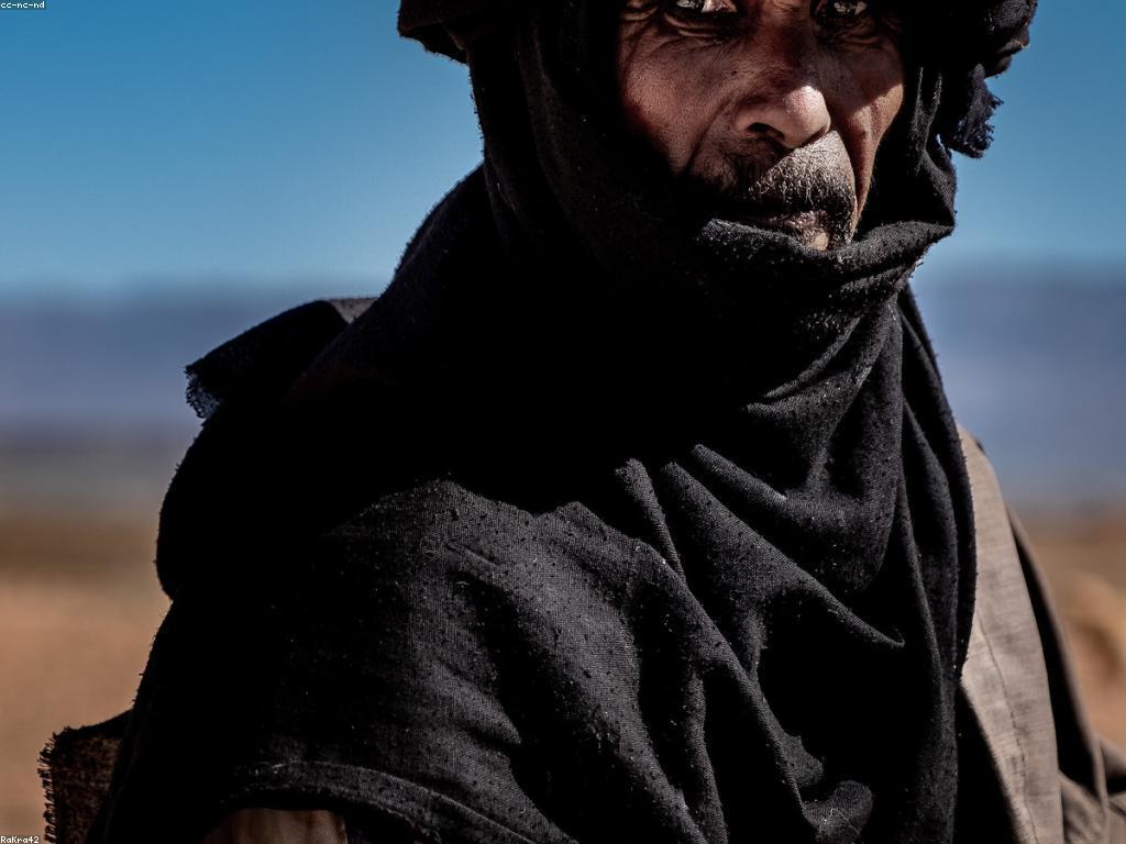 ការស្វែងរកចំណូលចិត្តរបស់អ្នក