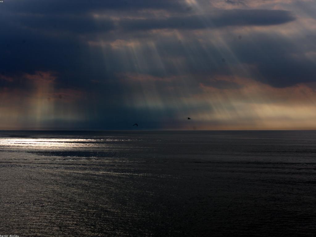 ឥទ្ធិពលនៃយុទ្ធសាស្រ្តមាតិកាឌីជីថល